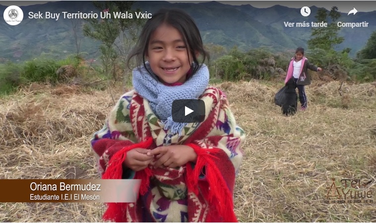 Imagen Archivo Video